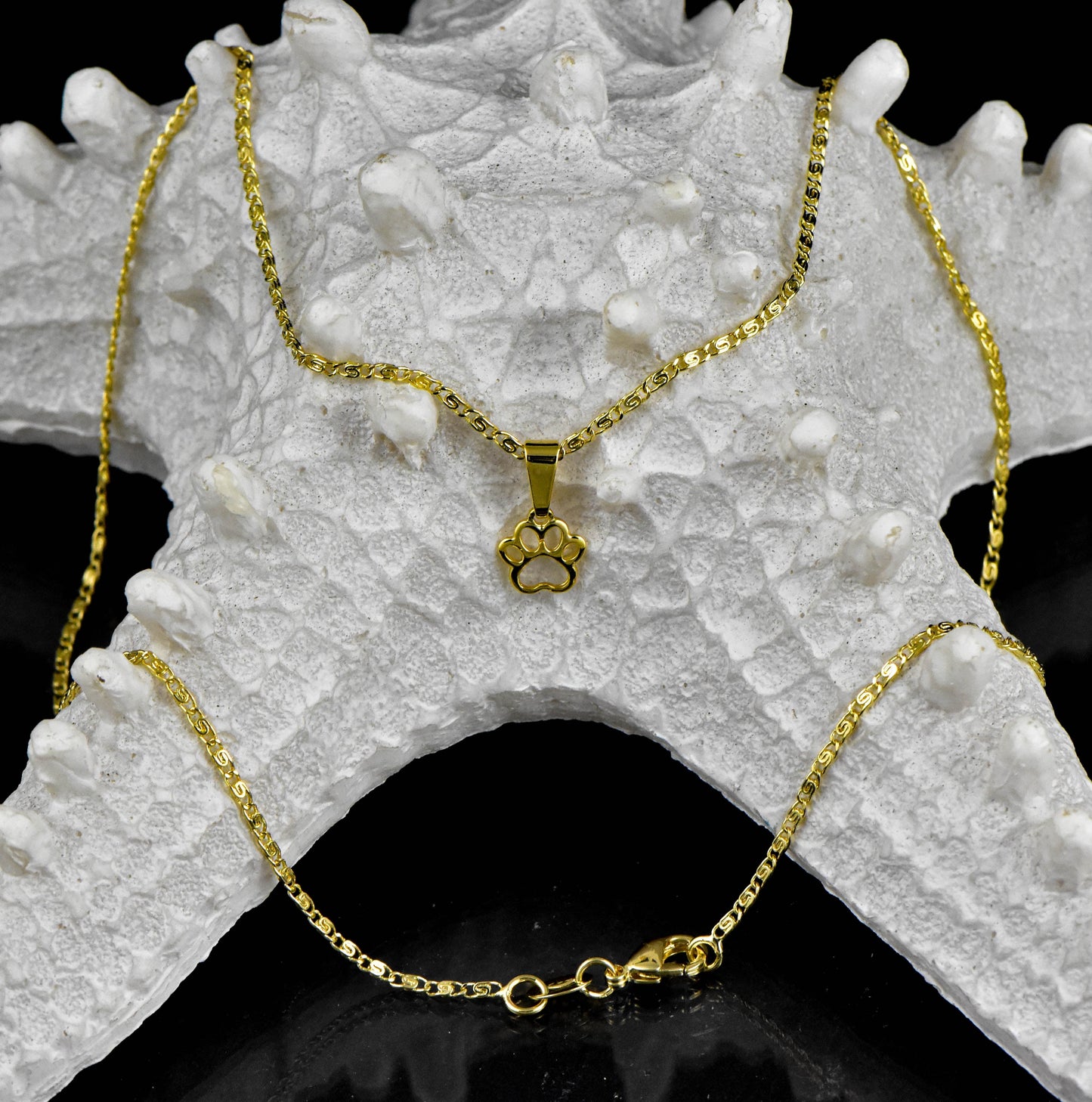 Cadena Caracol 45cms + Colgante Huella Perro