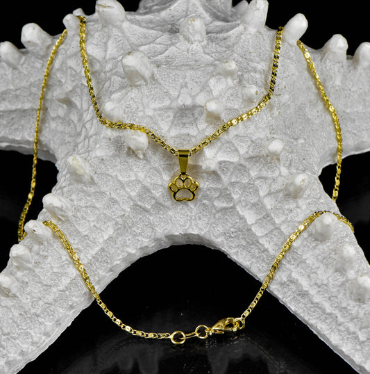 Cadena Caracol 45cms + Colgante Huella Perro